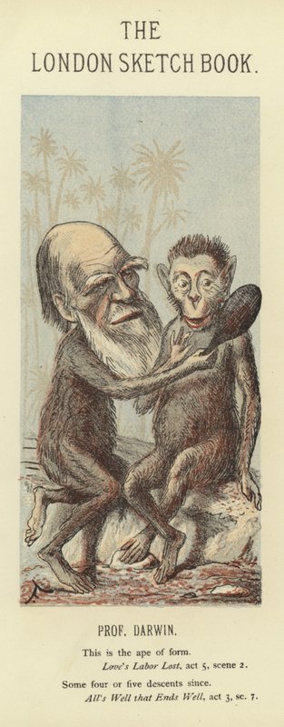 Karikatur von Charles Darwin von Faustin