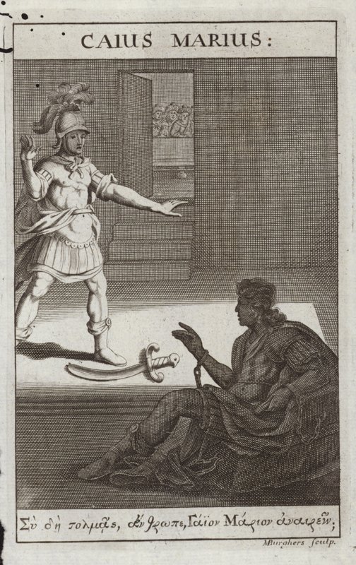 Gaius Marius von Flemish School