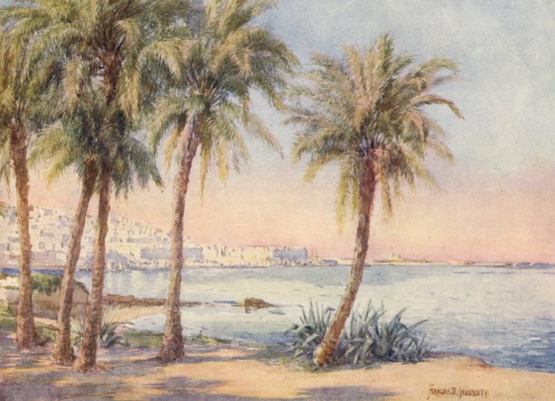 Algier vom Jardin d