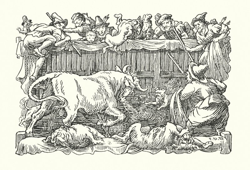 Merrie England: Stierkampf von Francis Donkin Bedford