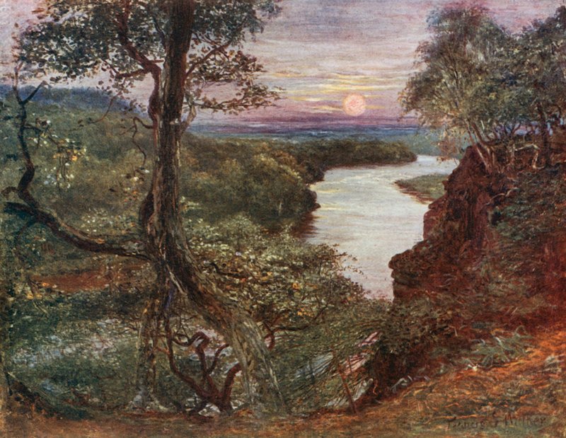 Der Fluss Eden von Francis S. Walker