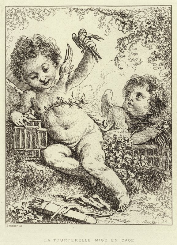 Die eingesperrte Turteltaube (Gravur) von Francois (after) Boucher