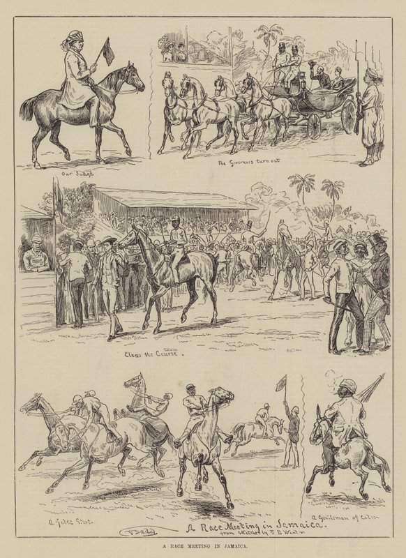 Ein Pferderennen in Jamaika von Frank Dadd