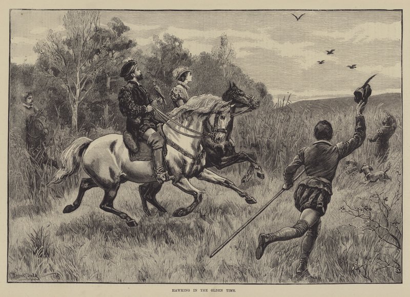 Falknerei in alten Zeiten von Frank Dadd