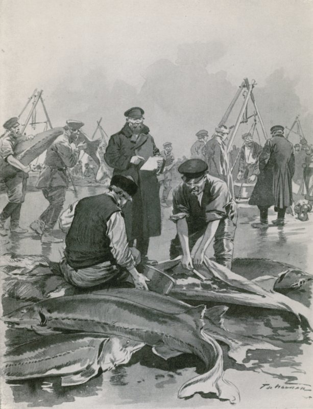 Kaviar holen in Astrachan von Frederic de Haenen