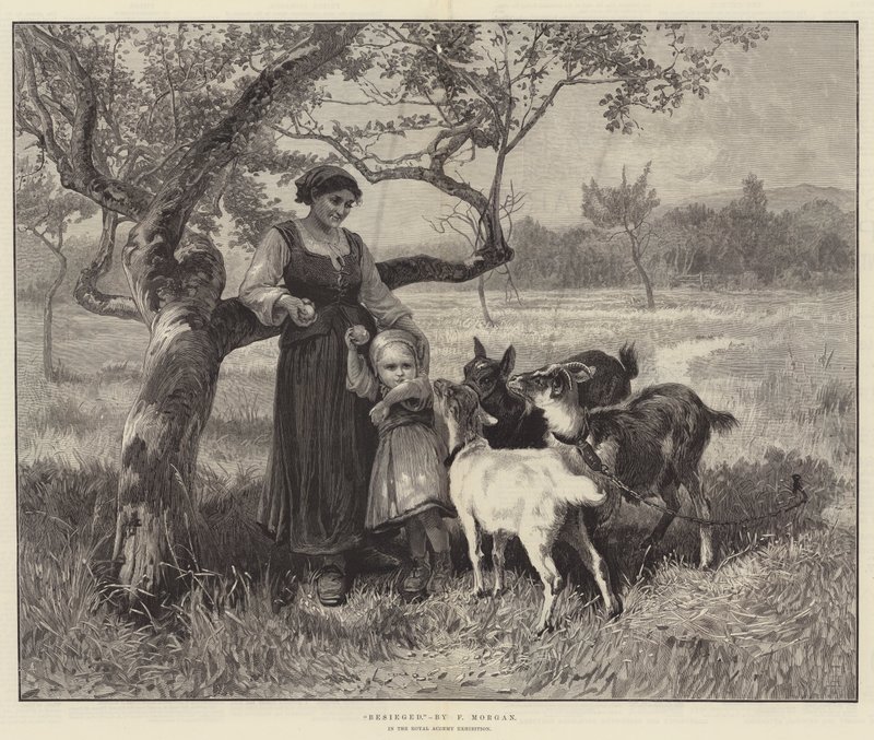 Belagert von Frederick Morgan
