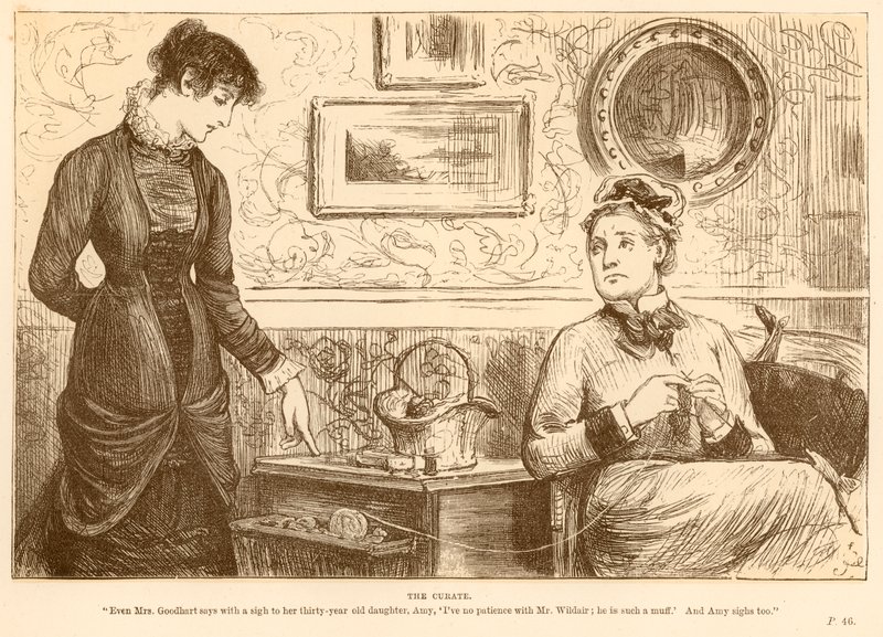 Der Vikar von Frederick Barnard