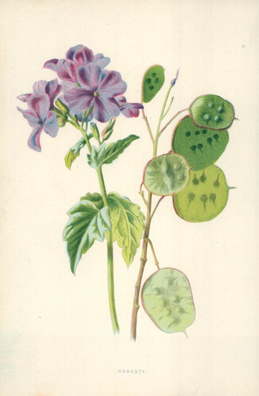 Ehrlichkeit von Frederick Edward Hulme