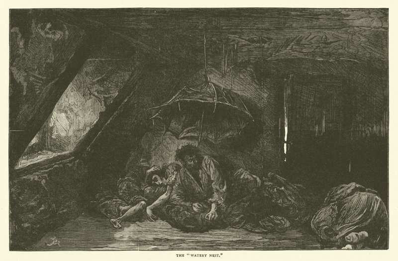 Das wässrige Nest von Frederick L. Bernard