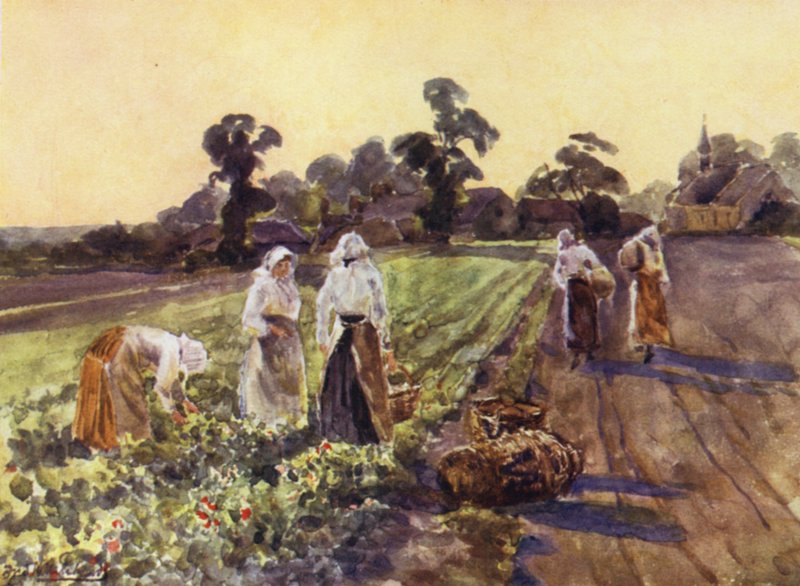Dodging Exhall von Frederick William Newton Whitehead