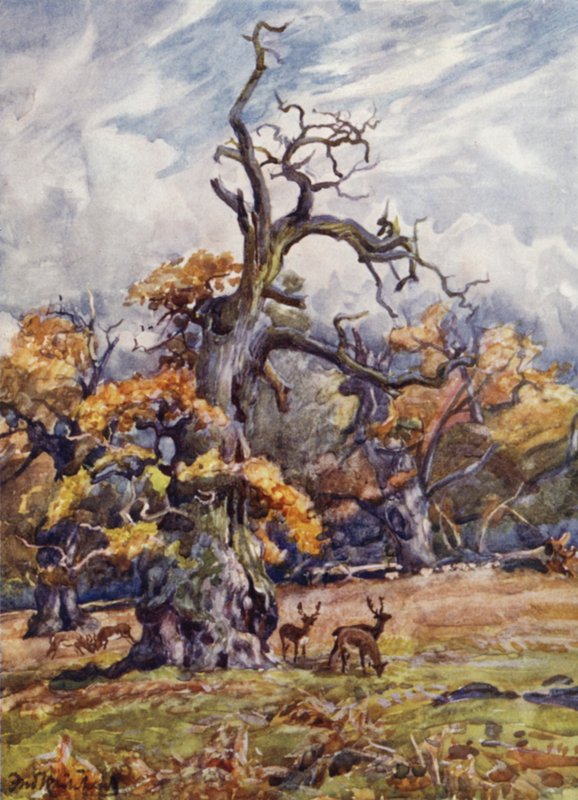 Packington Park von Frederick William Newton Whitehead