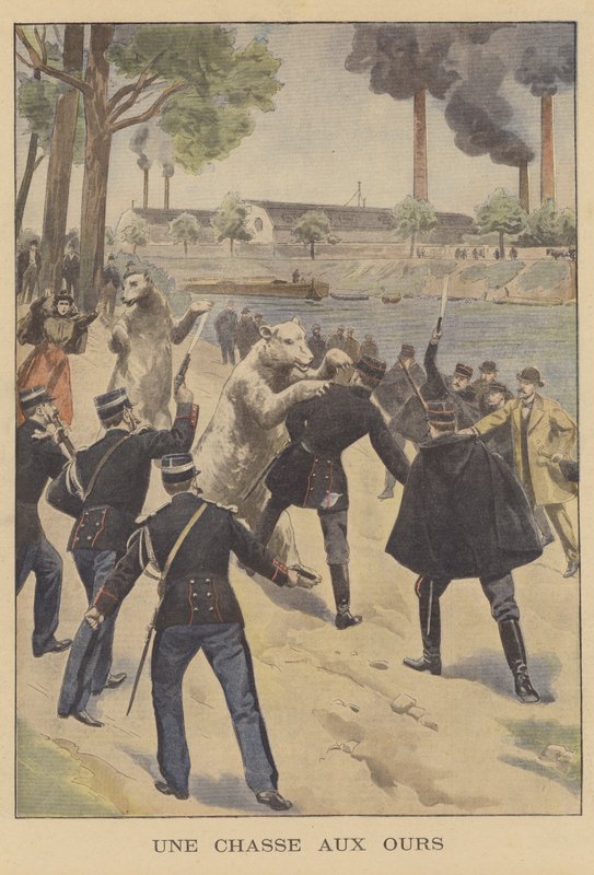 Eine Bärenjagd in Paris von French School
