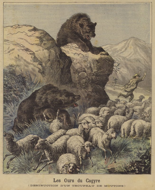 Bären greifen eine Schafherde in den französischen Pyrenäen an von French School