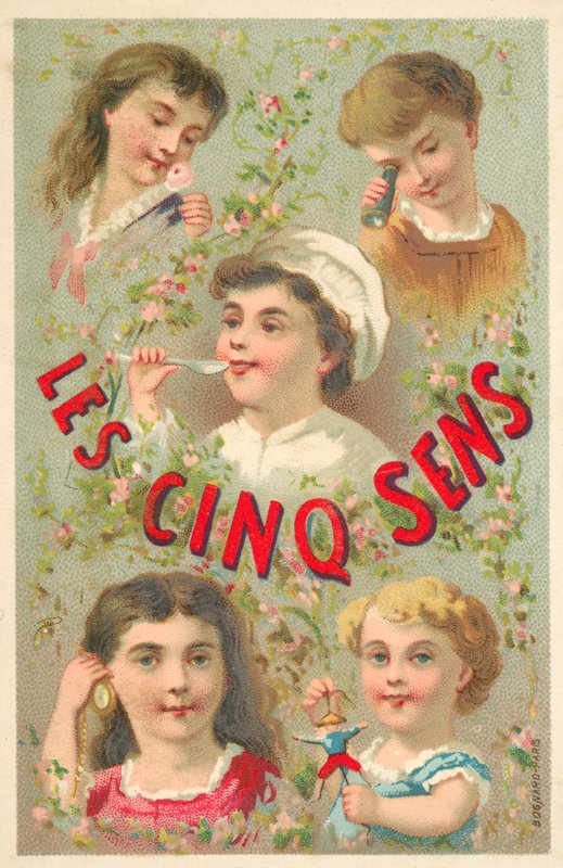 Die fünf Sinne von French School