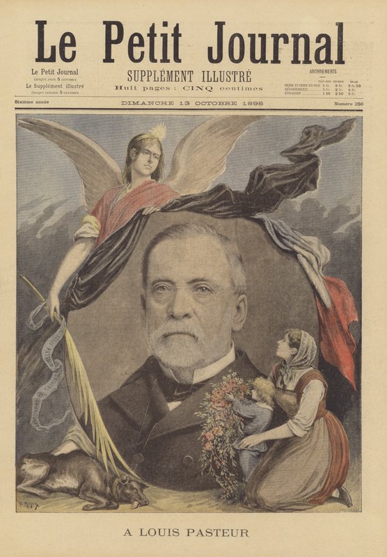 An Louis Pasteur von French School
