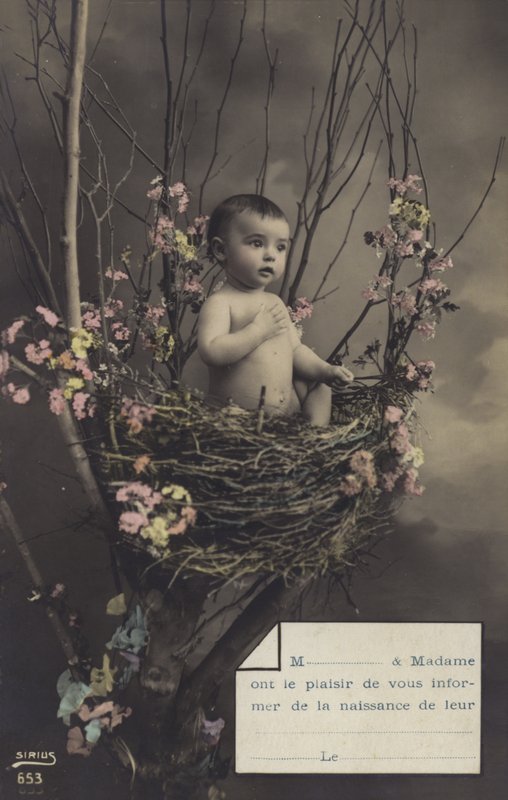 Baby in einem Nest von French Photographer