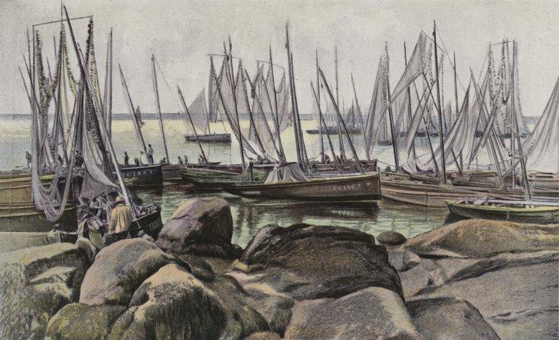 Concarneau, Fischerboote für Sardinen von French Photographer