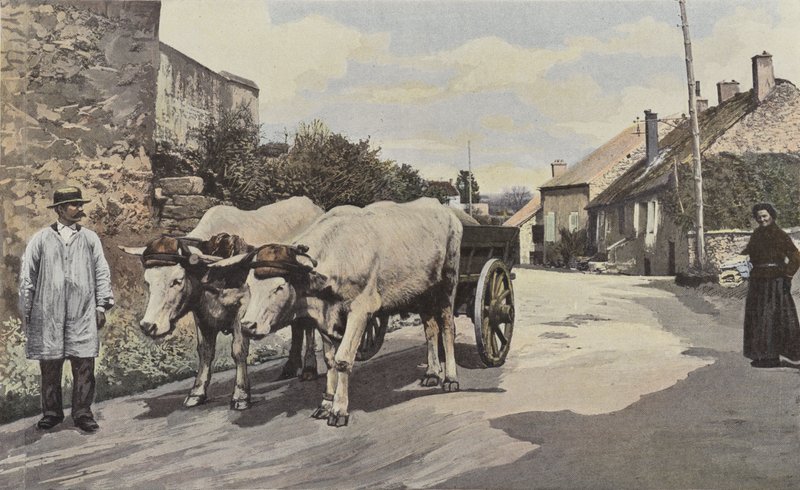 Saulieu, Ein Gespann im Morvan von French Photographer