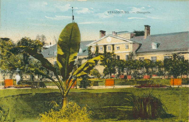 Straßburg: Orangerie von French Photographer