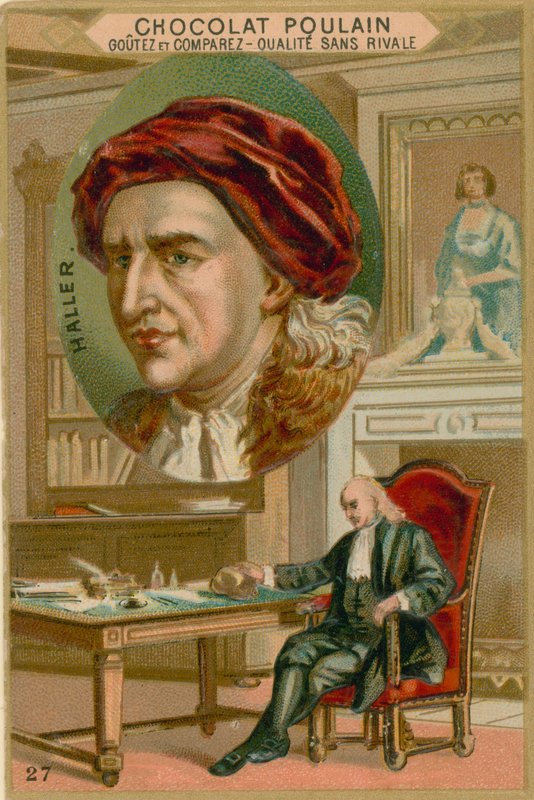 Albrecht von Haller von French School