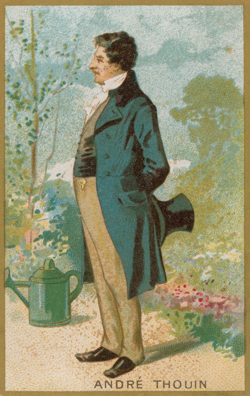 André Thouin von French School