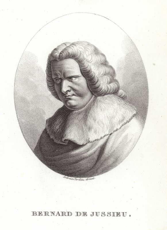 Bernard de Jussieu von French School