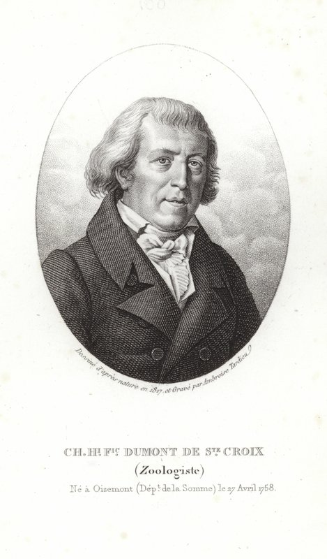Charles Dumont de Sainte-Croix von French School