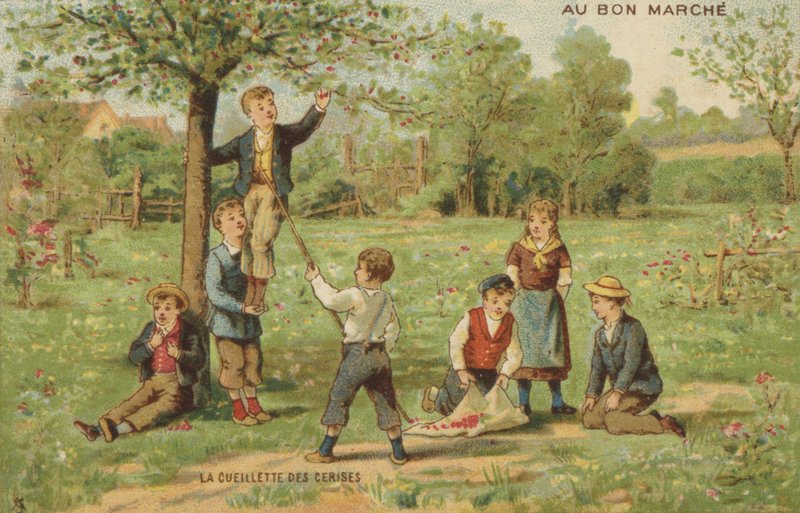 Kinder pflücken Kirschen von French School