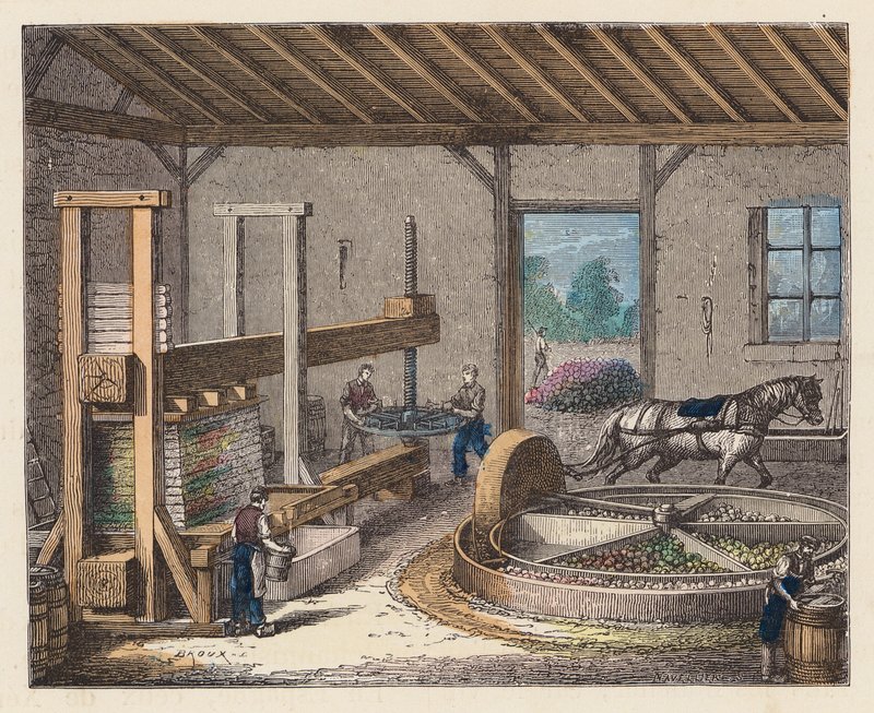 Herstellung von Apfelwein von French School