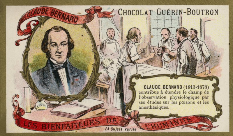 Claude Bernard, französischer Physiologe von French School