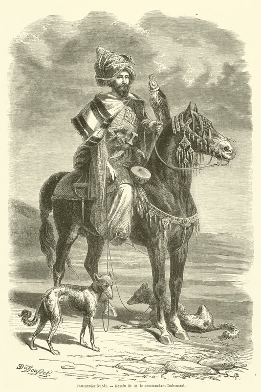 Kurdischer Falkner von French School
