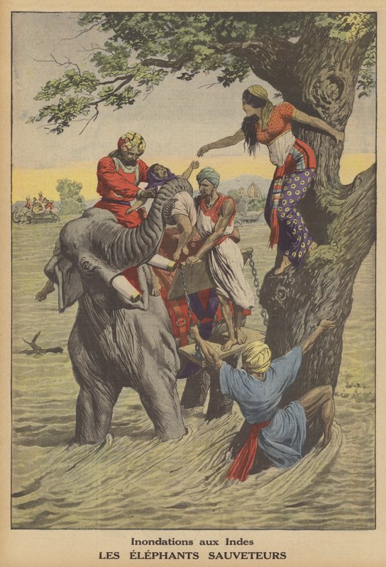 Überschwemmungen in Indien von French School