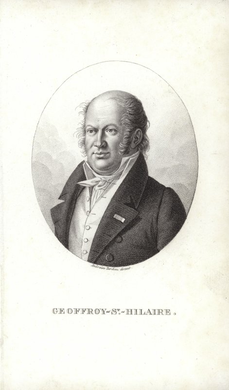 Geoffroy Saint-Hilaire von French School