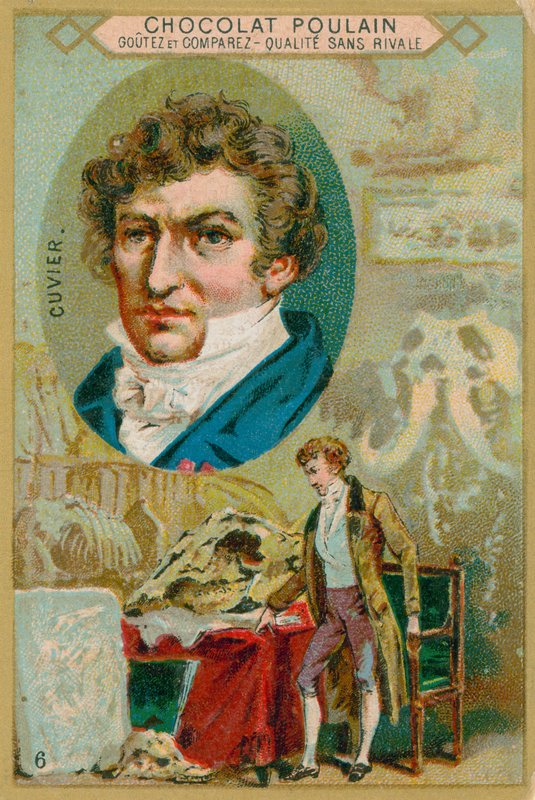 Georges Cuvier von French School