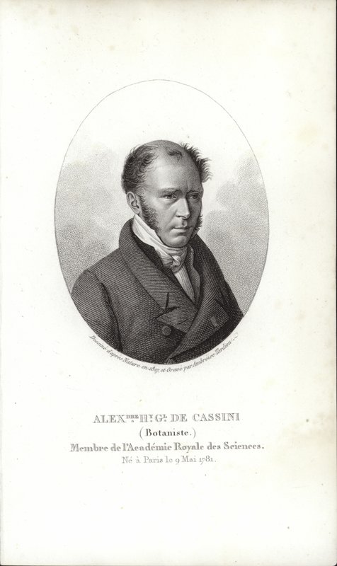 Henri Cassini von French School