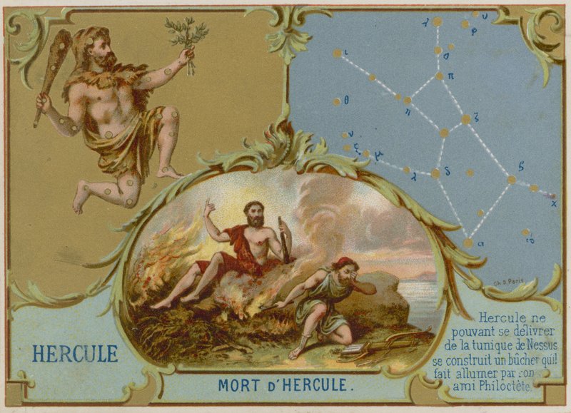 Herkules von French School