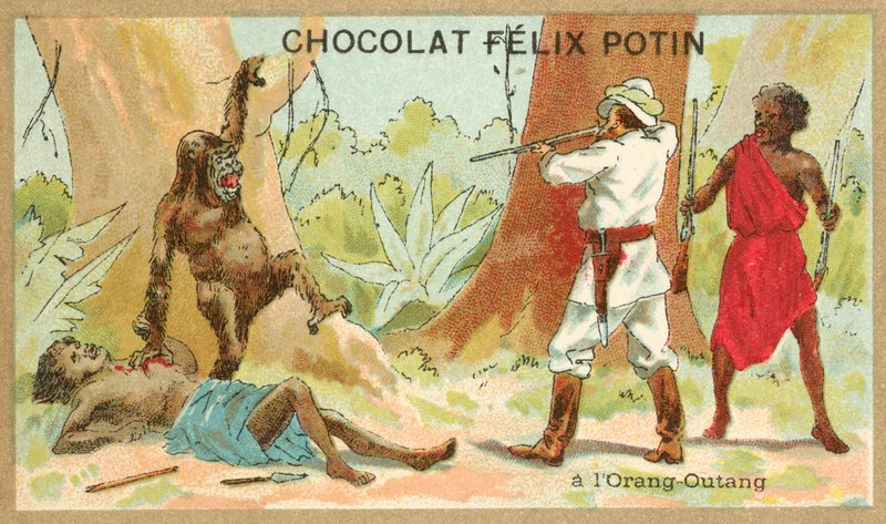 Orang-Utan-Jagd von French School
