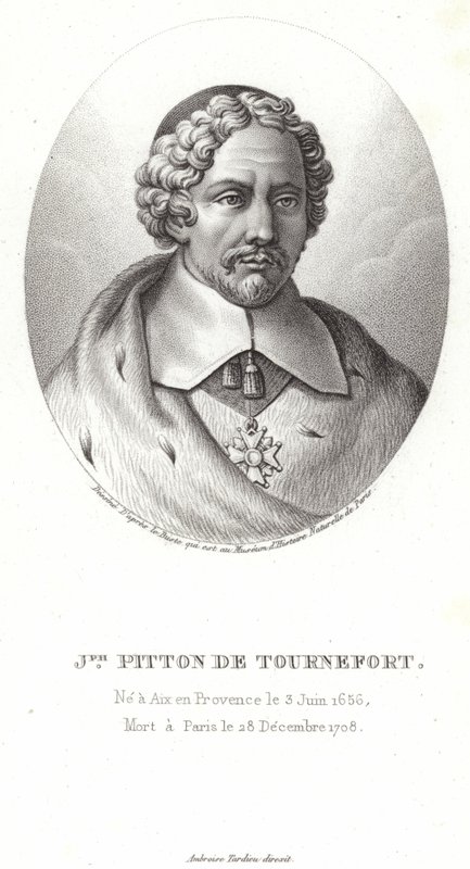Joseph Pitton de Tournefort von French School