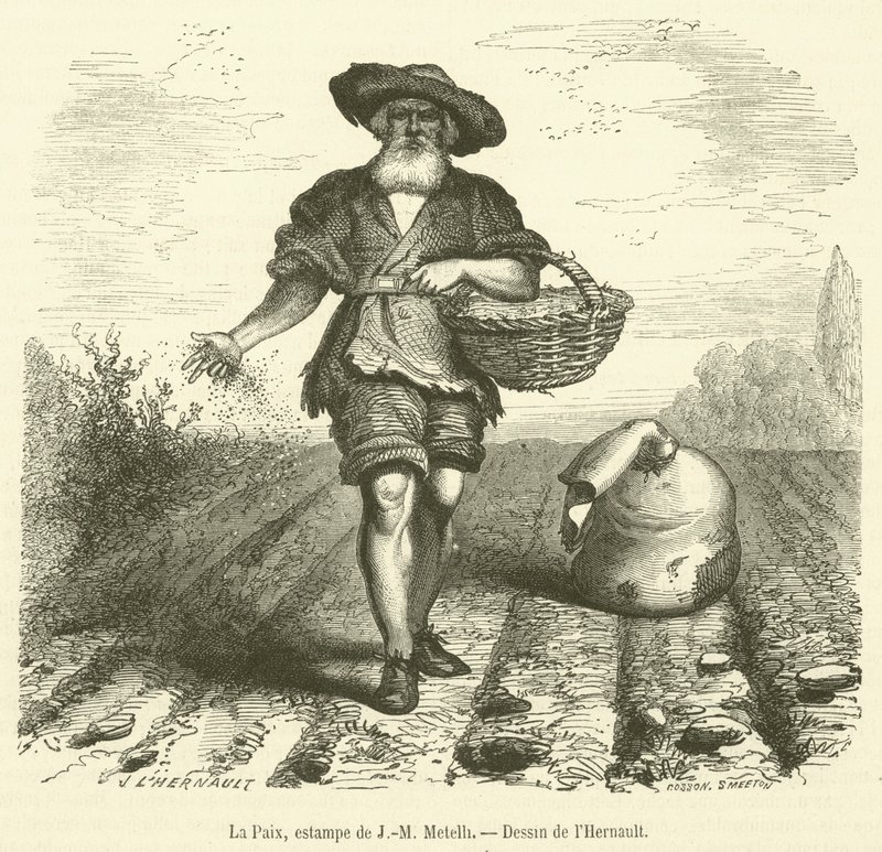 Der Frieden (Gravur) von French School