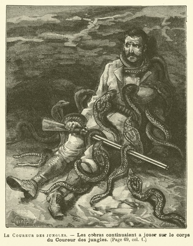 Der Dschungelläufer von French School