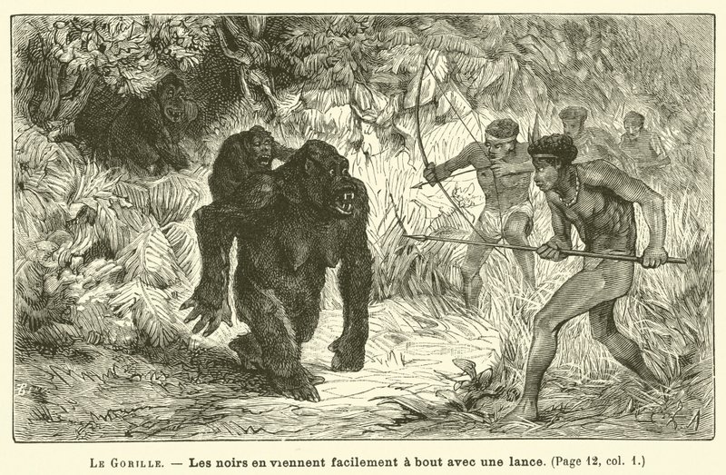 Der Gorilla von French School