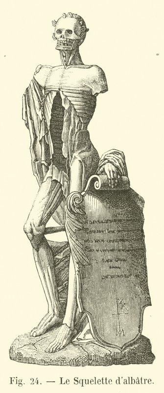 Das Alabasterskelett von French School