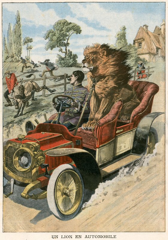 Löwe in einem Automobil von French School