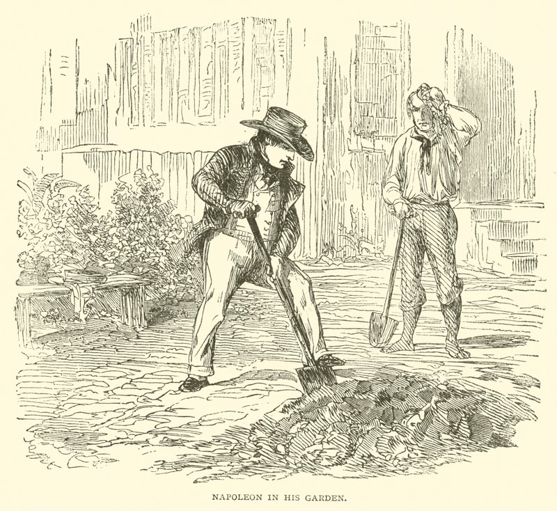 Napoleon in seinem Garten (Gravur) von French School