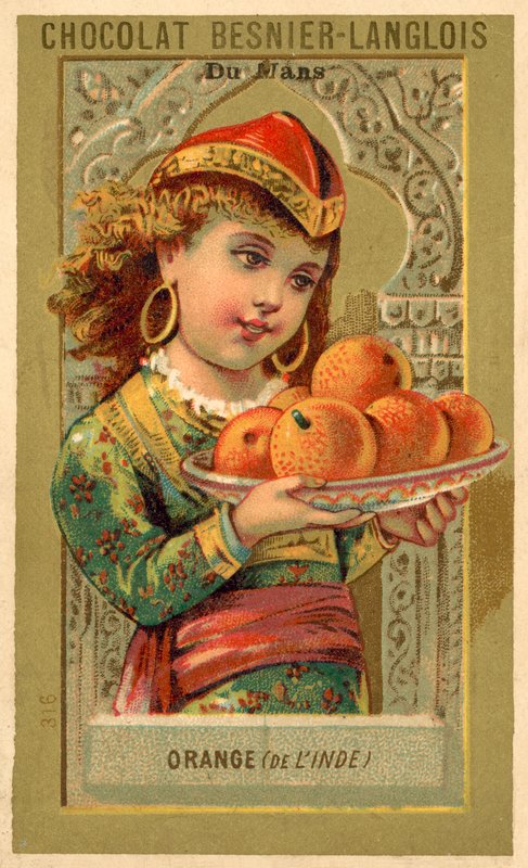Orangen aus Indien von French School