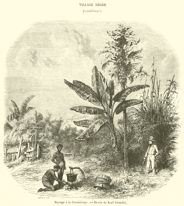 Landschaft in Guadeloupe von French School