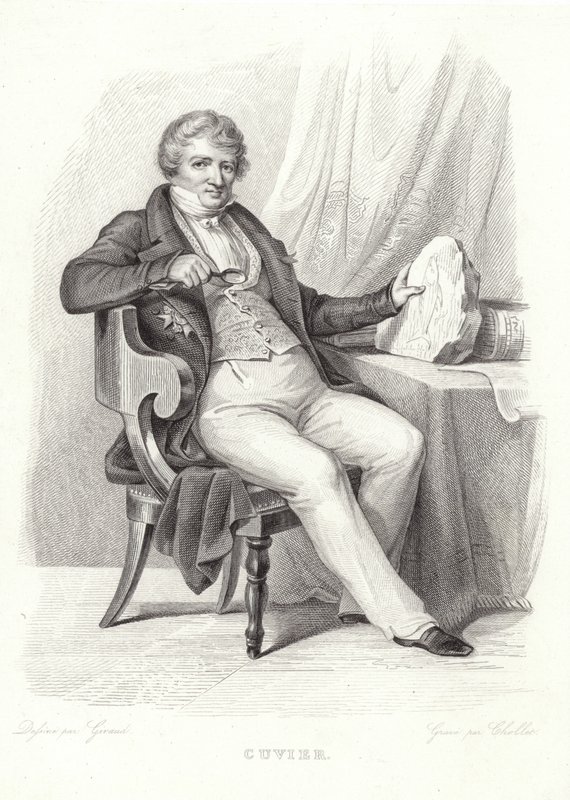 Porträt von Georges Cuvier von French School
