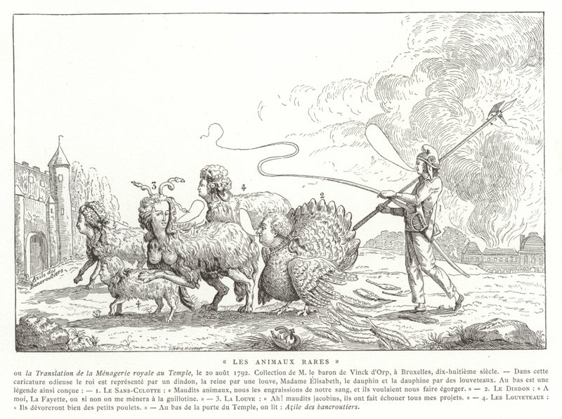 Seltene Tiere von French School