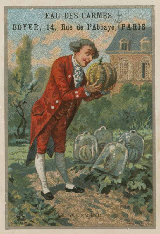 Der Vielfraß von French School