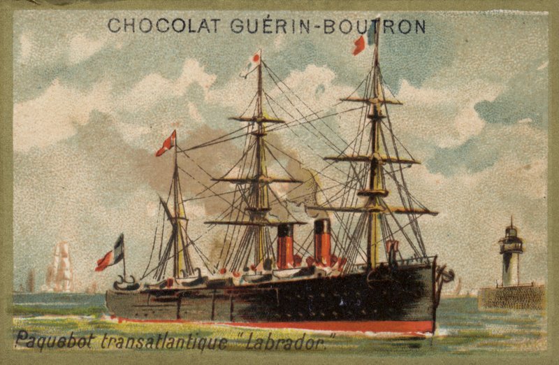 Transatlantikliner Labrador von French School